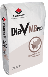 Dia-V-MB-Pro-Bag