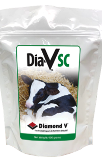 Dia-V SC Bag Artwork