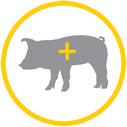 PIGLET LITTER WEANING WEIGHT ICON