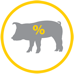 PIGLET PRE-WEAN LIVABILITY ICON