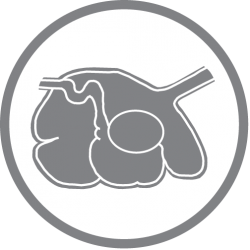 Calf liquid feed additive - Rumen Health