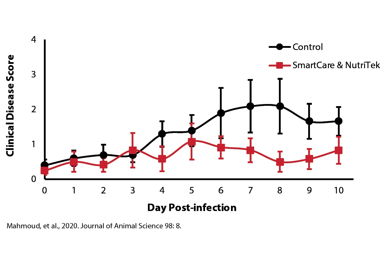 Calf Feed Additive - Chart