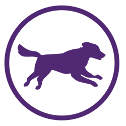 Pet Food Additive - Icon - vitality