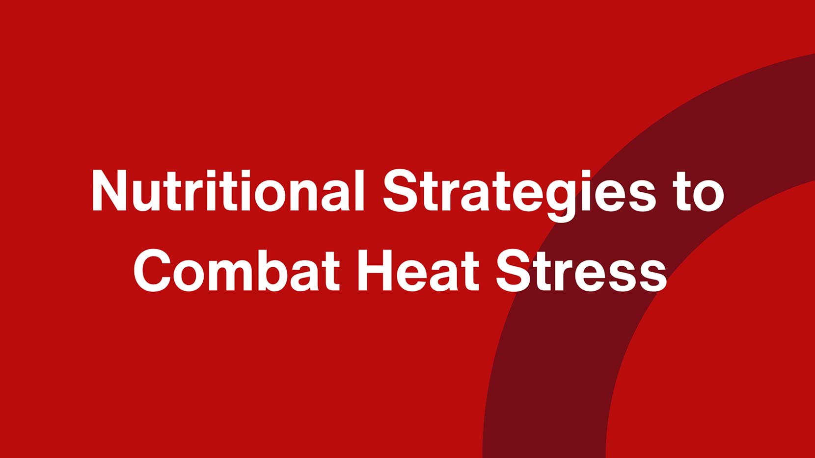 Nutritional Strategies to Combat Heat Stress in Dairy Cows