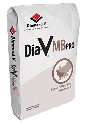 Dia-V™ MBPRO-image