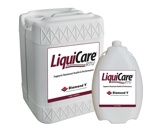 LiquiCare RTU Liquid Cattle Drench