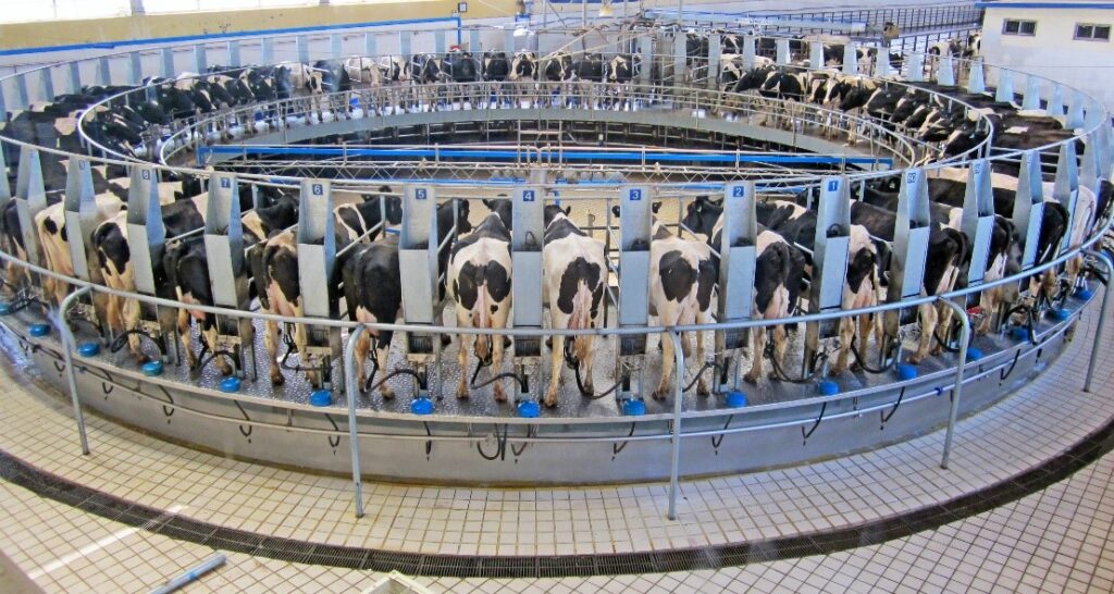 The Top Three Tech Trends in the Dairy Farming Industry
