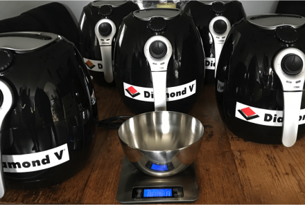 French Fries to Dairy DMI: Using an Inexpensive Air Fryer to Determine Dry Matter
