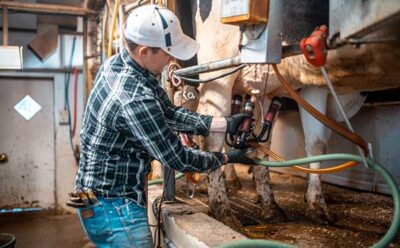 3 Tips to Help Dairy Employees Succeed