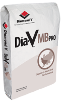 Dia-V-MB-Pro-Bag