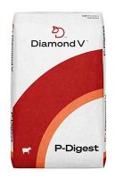 Diamond-V-P-Digest-Bag-Mockup