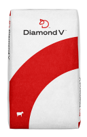 Diamond-V_Generic-Bag-Mockup_Front