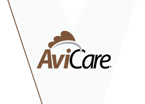 Poultry Health - AviCare Postbiotic Supplement