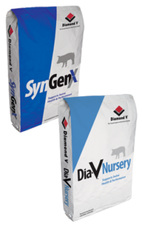 SyngenX / Dia-V Nursery - piglet feed additive